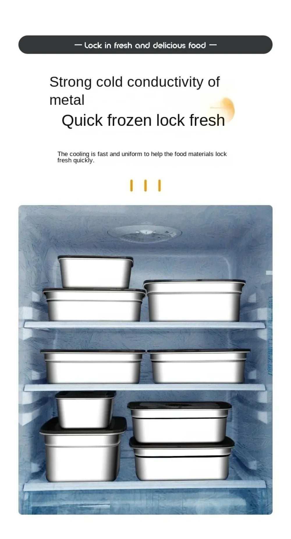 Stainless Steel Camping Lunch Box