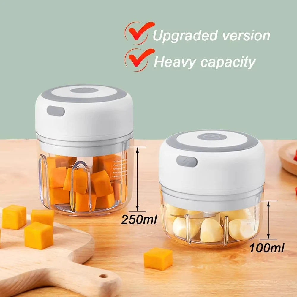 Mini Electric Food Processor