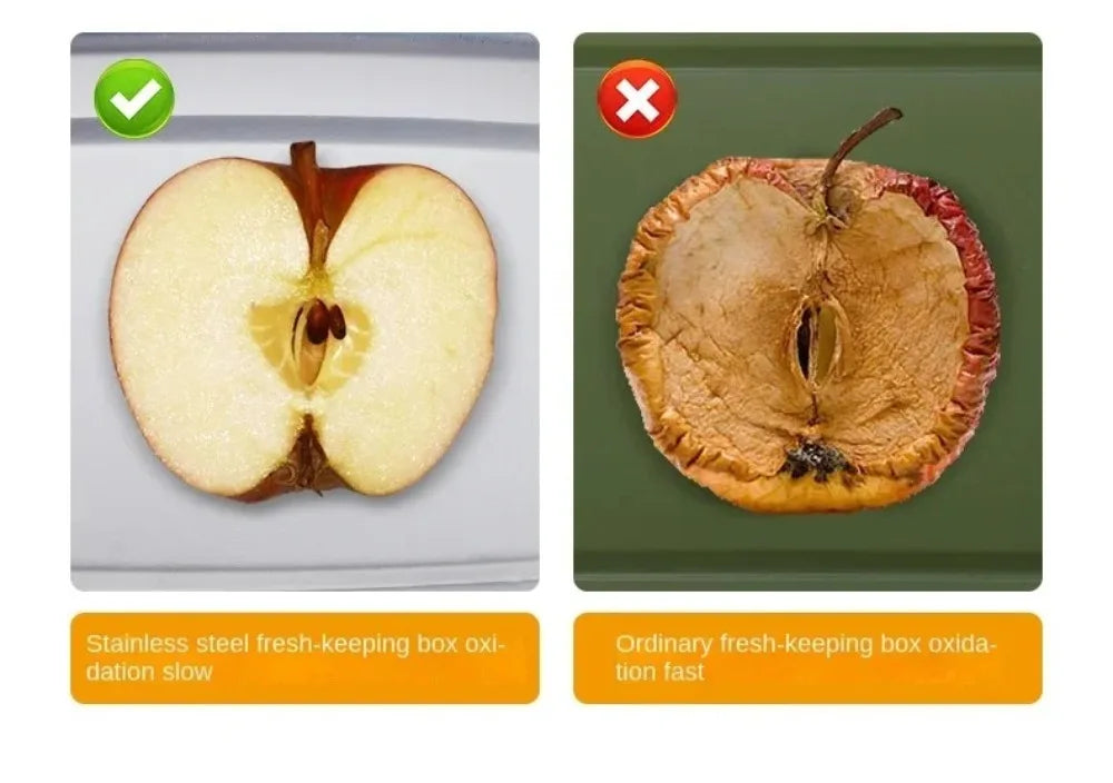 Stainless Steel Camping Lunch Box